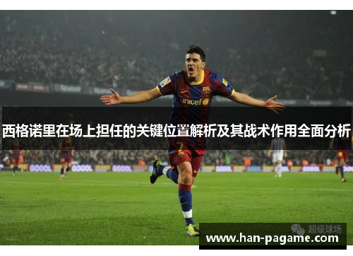 西格诺里在场上担任的关键位置解析及其战术作用全面分析