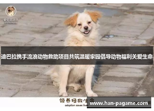 迪巴拉携手流浪动物救助项目共筑温暖家园倡导动物福利关爱生命 迪巴拉携手流浪动物救助项目共筑温暖家园倡导动物福利关爱生命